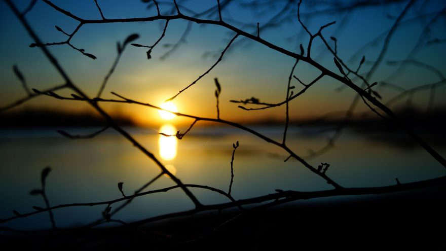 откладывается