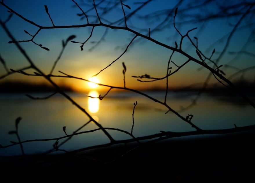 откладывается