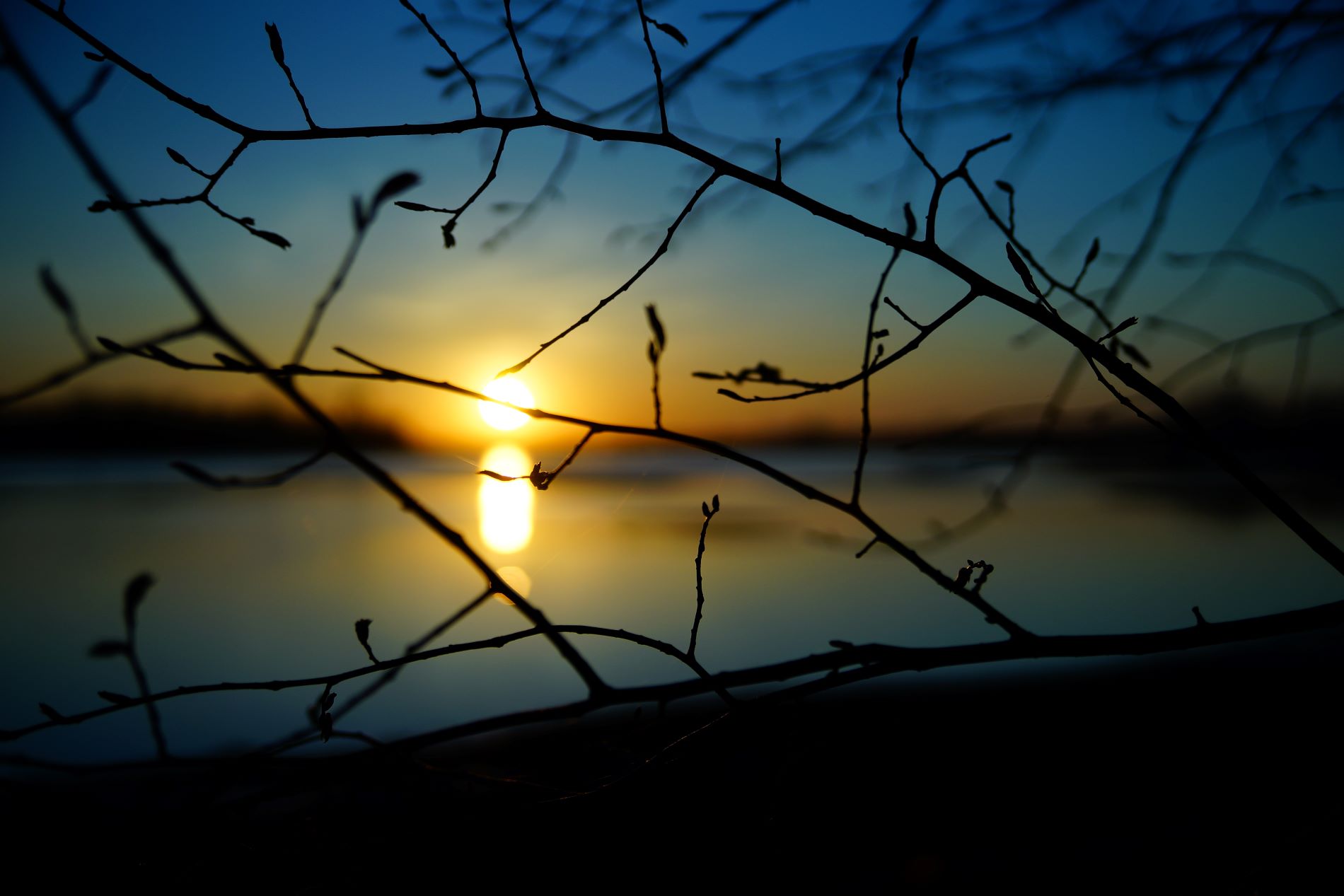 откладывается