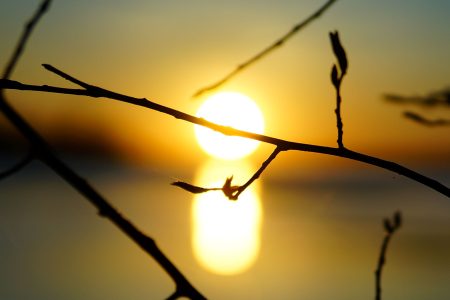 потепление