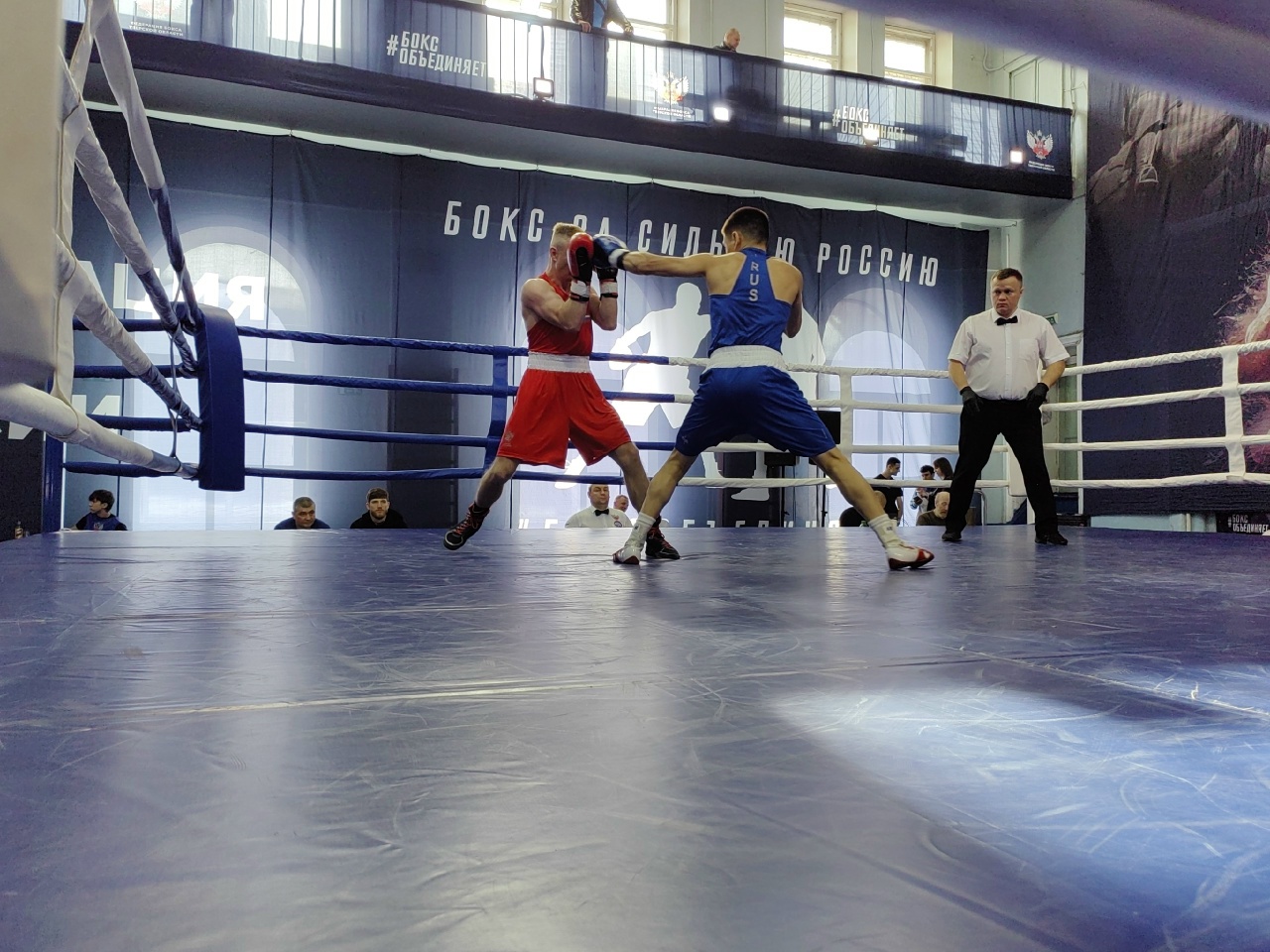 Боксеры Тверской области завоевали золотые медали на всероссийском турнире