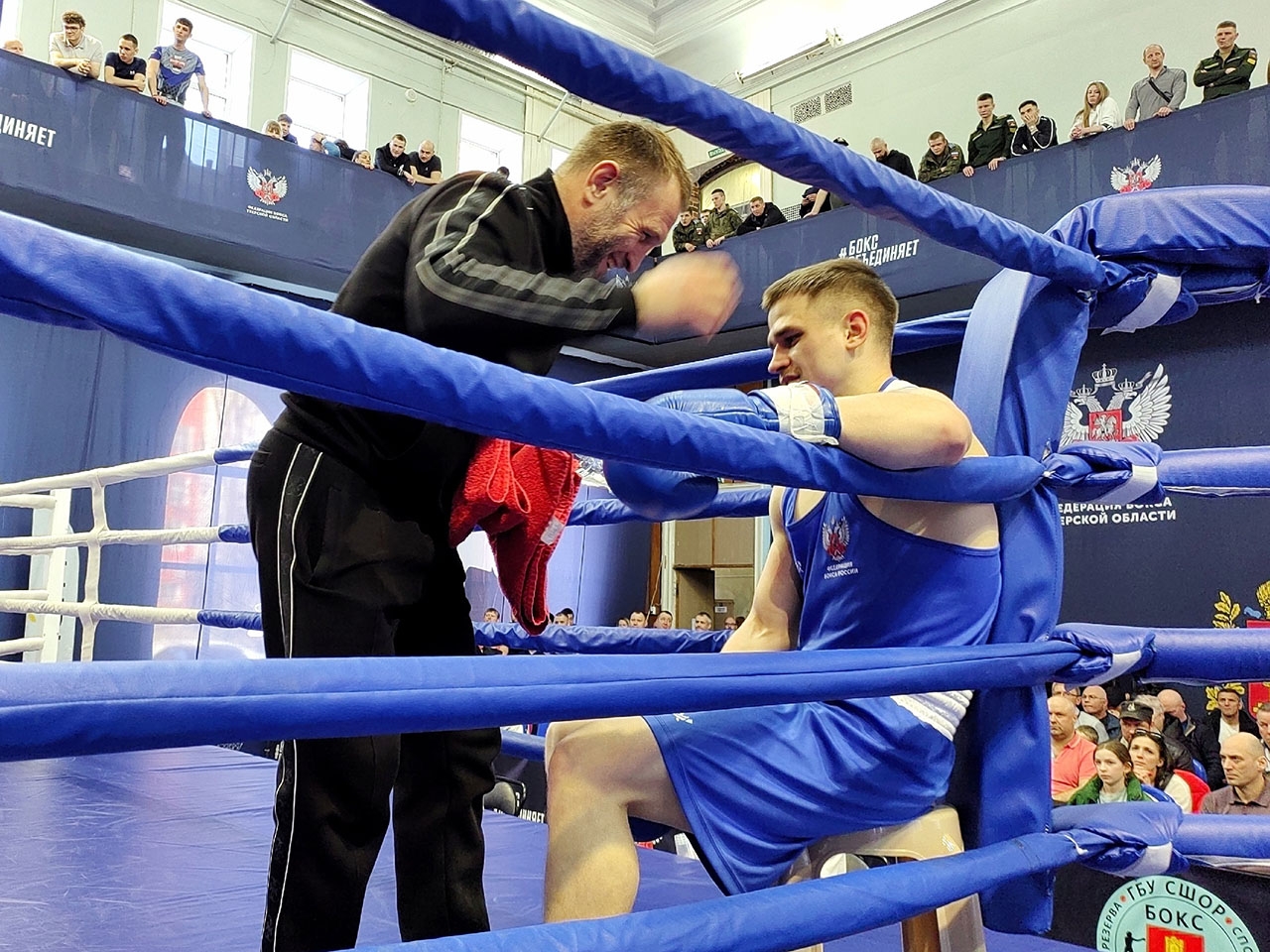 Боксеры Тверской области завоевали золотые медали на всероссийском турнире