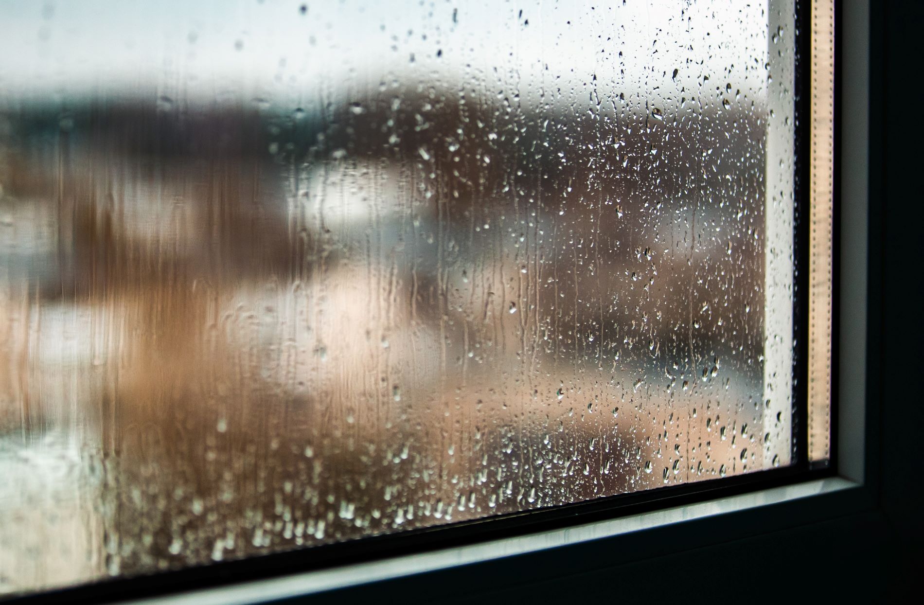 На Тверскую область надвигаются дожди