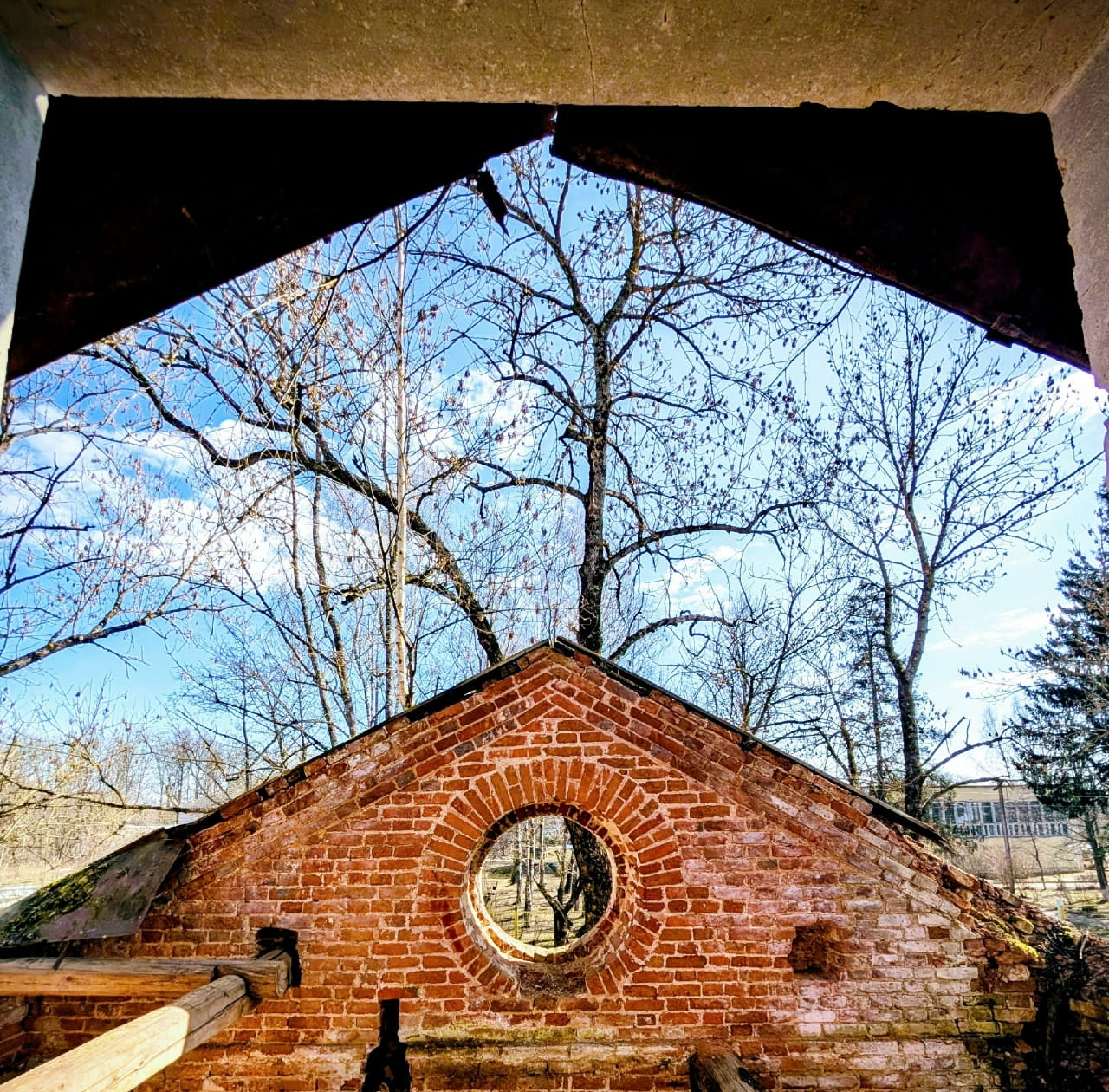 От роскошных построек в итальянском стиле до увядших руин: тернистый путь усадьбы Казнаковых в Торжокском округе