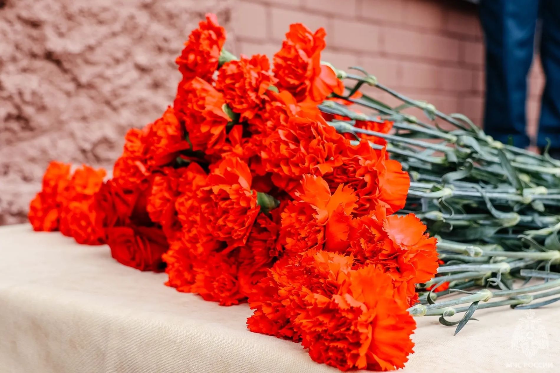 В Тверской области открыли мемориальную доску памяти пожарного Павла Евстигнеева