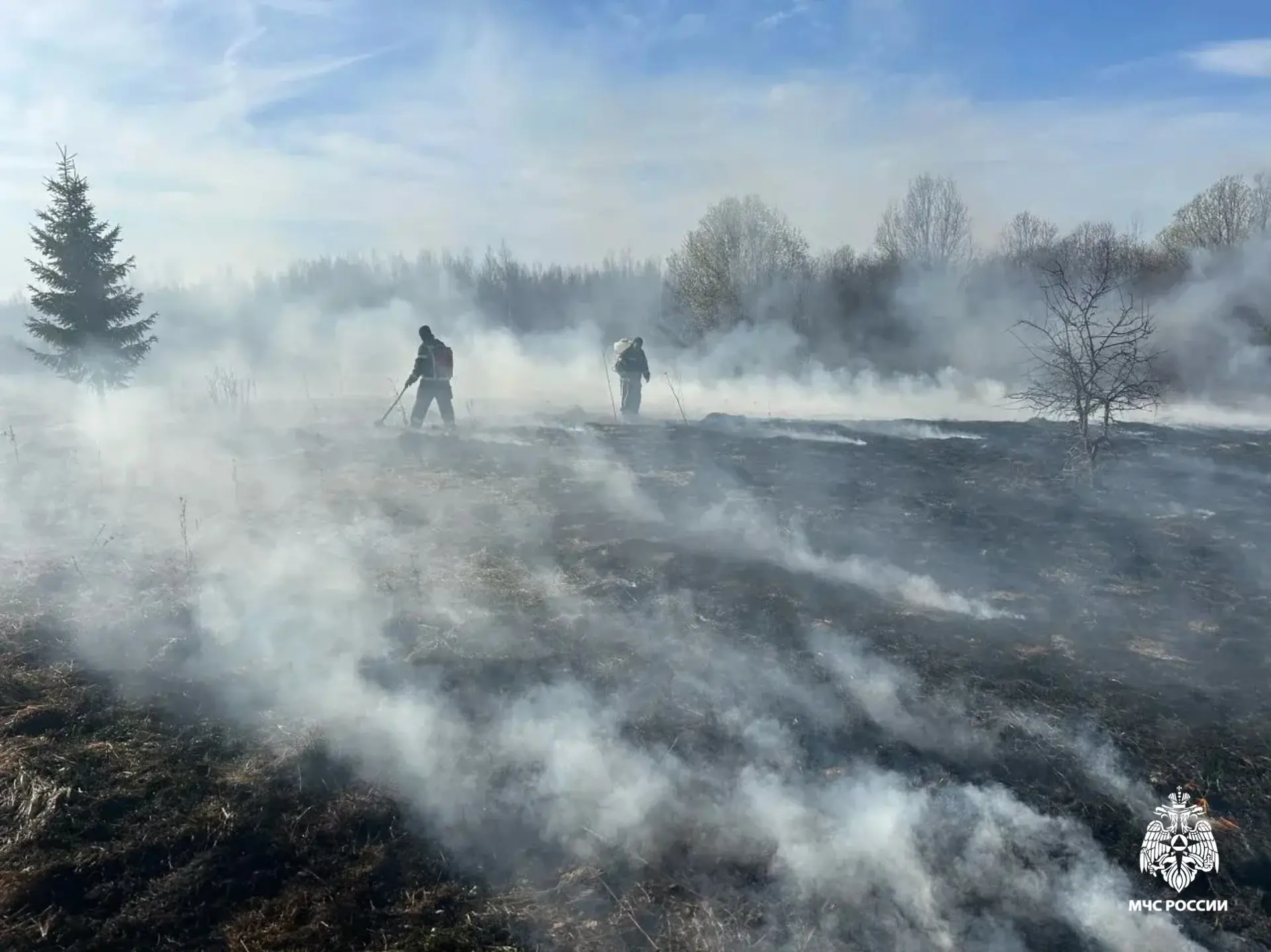 За день пожарные восемь раз выезжали на пал травы в Тверской области