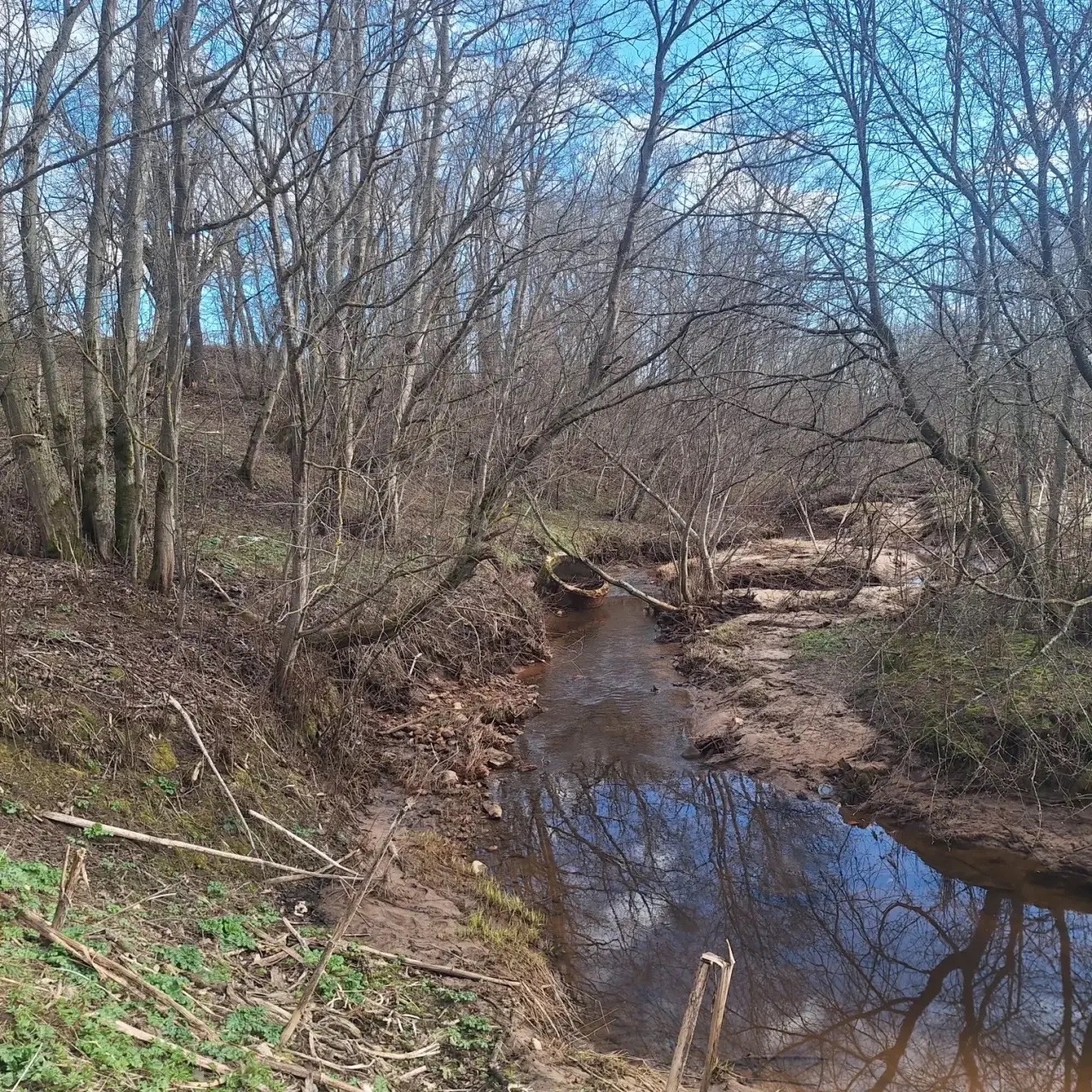 Во время прогулки в Тверской области мальчик нашел человеческие останки