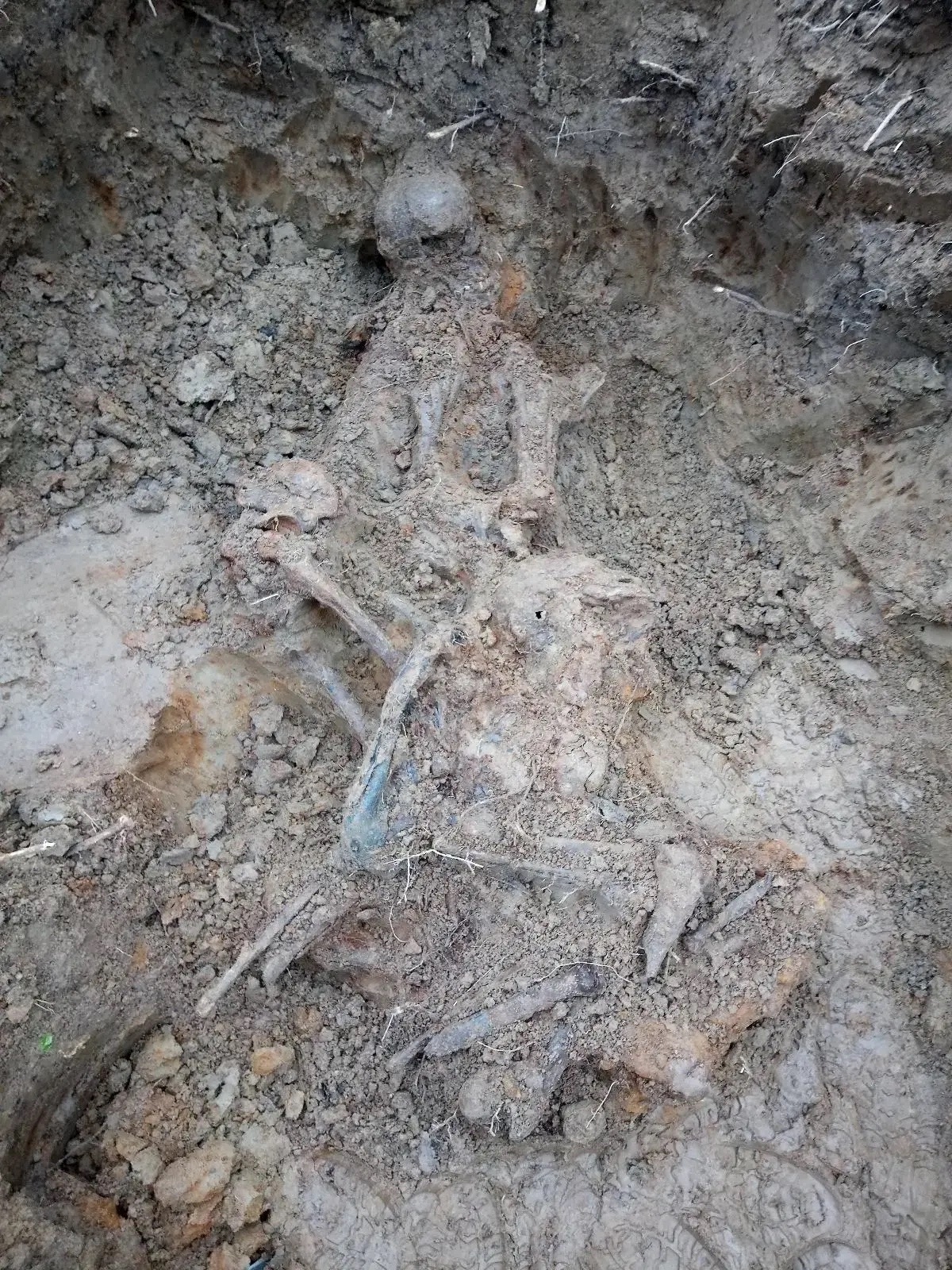 Погибший солдат пролежал 80 лет под кустом смородины в Тверской области