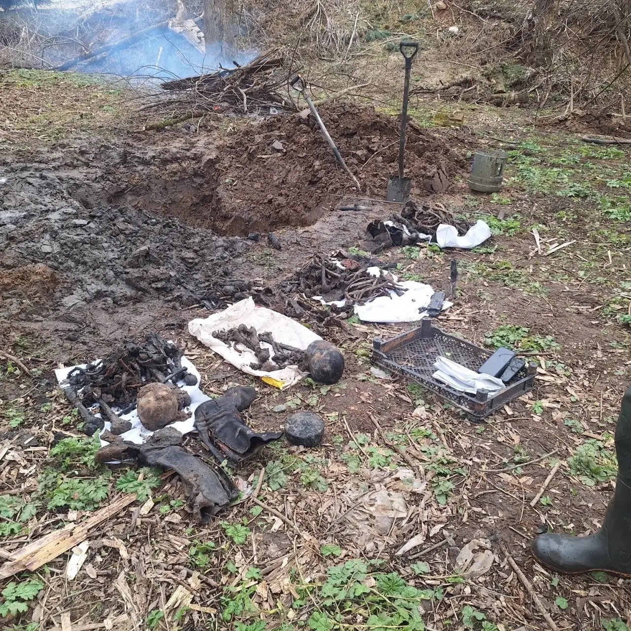 В Тверской области поисковики подняли останки 12 красноармейцев