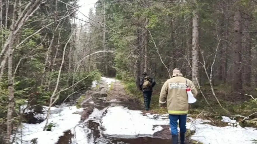 Спасатели вывели из леса жительницу Тверской области