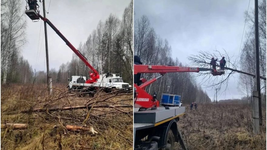 энергетики