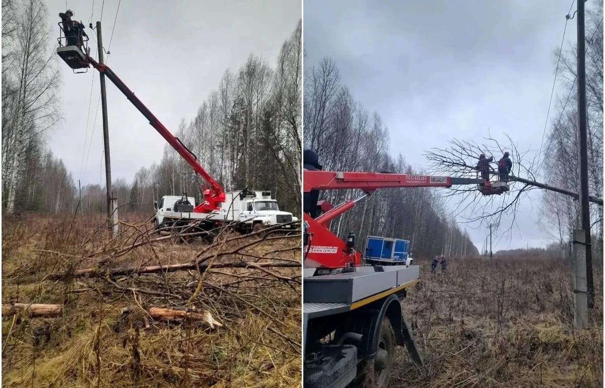 энергетики