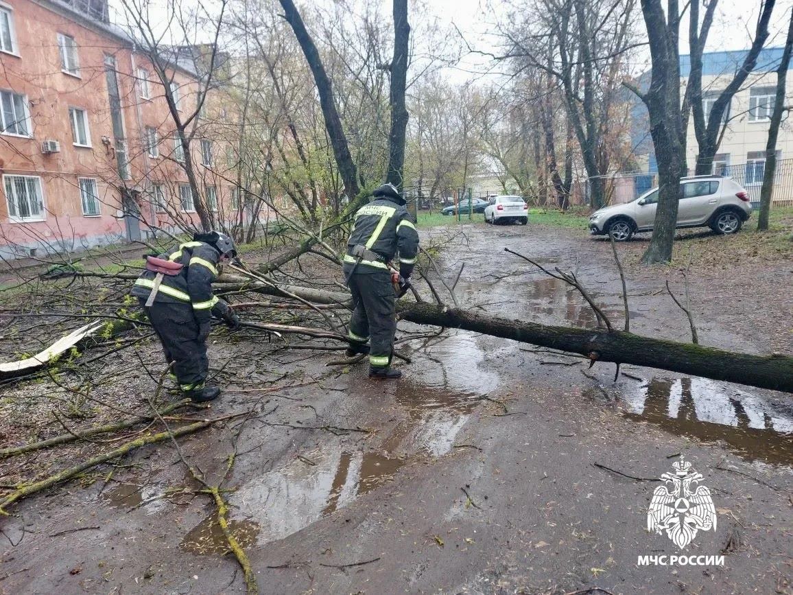 Специалисты МЧС ликвидируют последствия непогоды в Тверской области