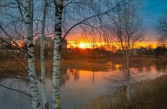 Метеослужбы сообщили, когда из Тверской области уйдут дожди и холода дожди