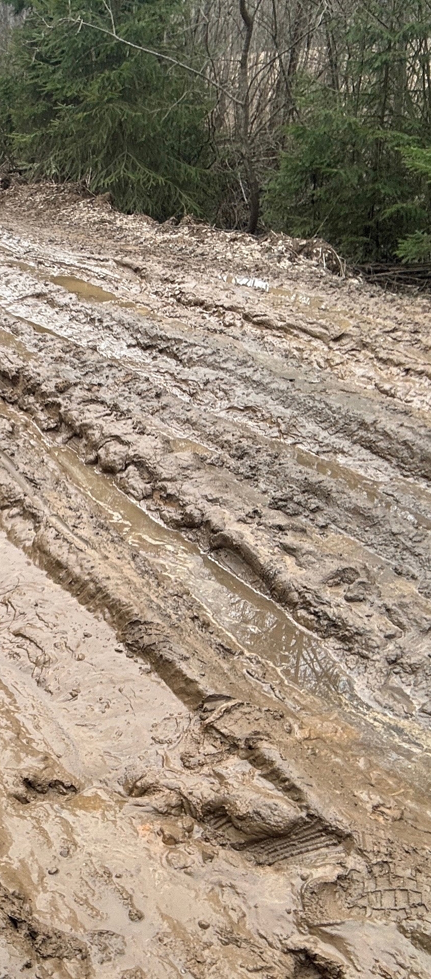 Жители Тверской области не могут проехать к своим домам