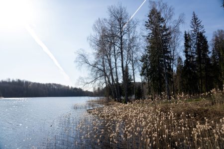 В Тверской области продолжается работа по сохранению уникальных природных комплексов