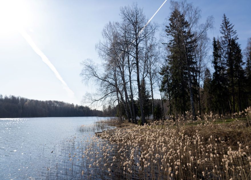 В Тверской области продолжается работа по сохранению уникальных природных комплексов