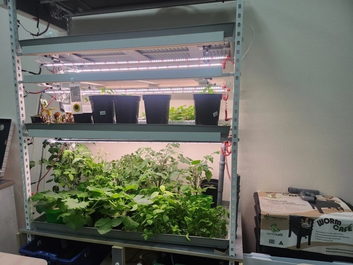 В Тверской области школьники управляют роботизированными теплицами и гидропонными установками