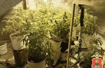 наркоферму