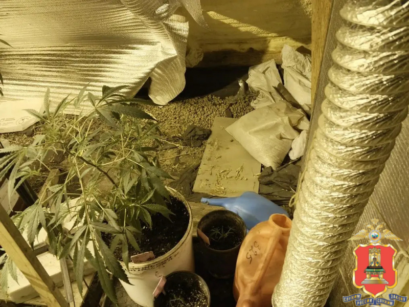 наркоферму