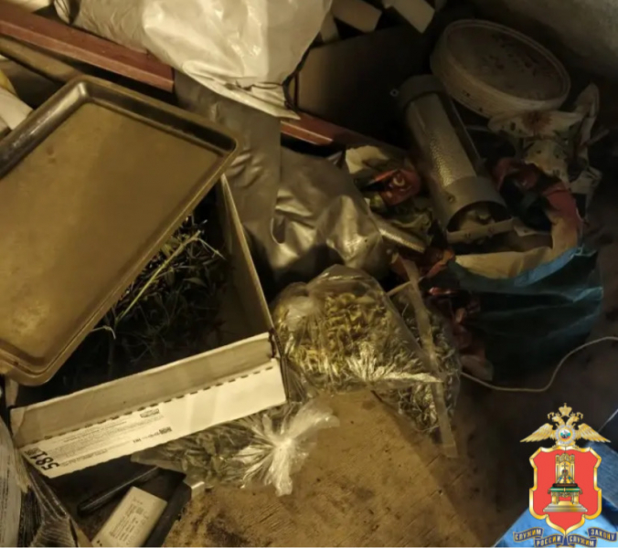 В Тверской области ликвидировали наркоферму по выращиванию конопли