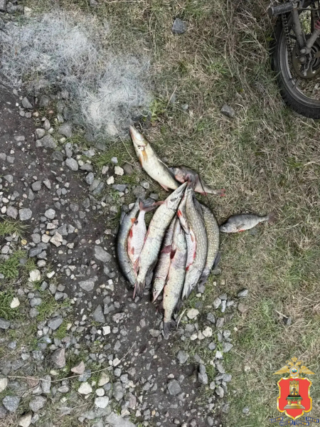 браконьеров