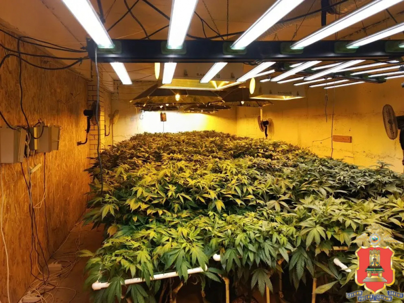 наркофермы