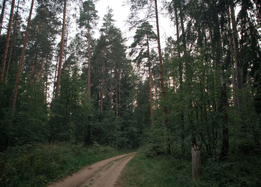 леса