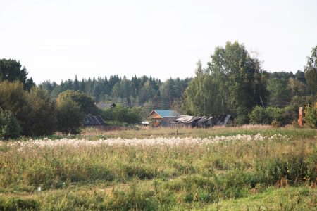 дачный сезон