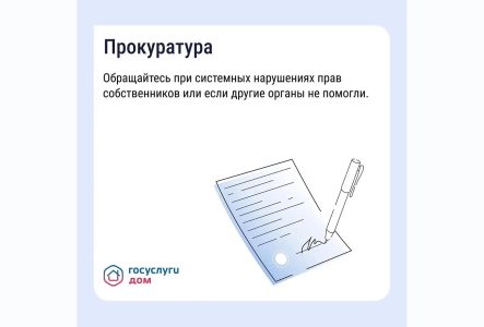 цифровой сервис