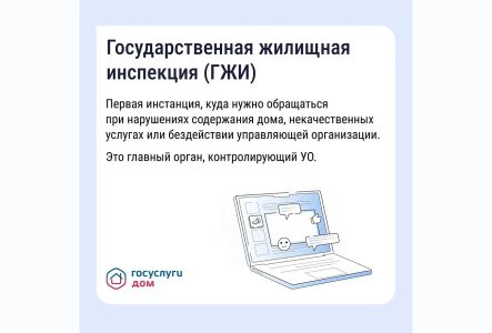 цифровой сервис