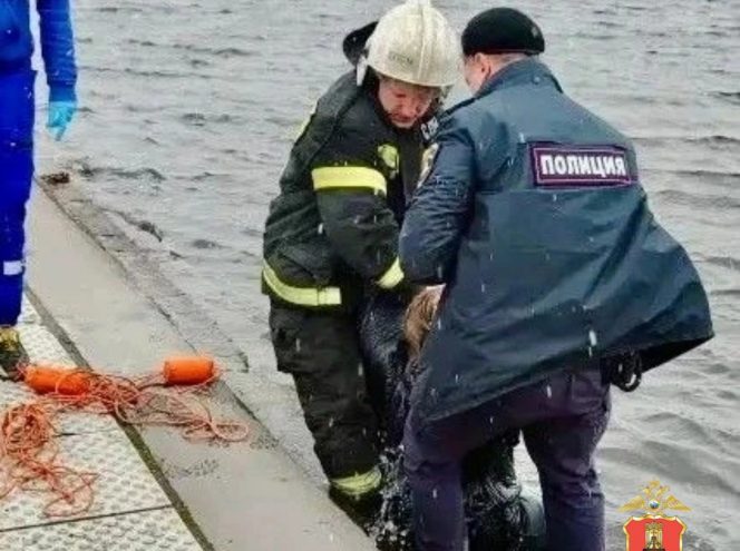 вытащили