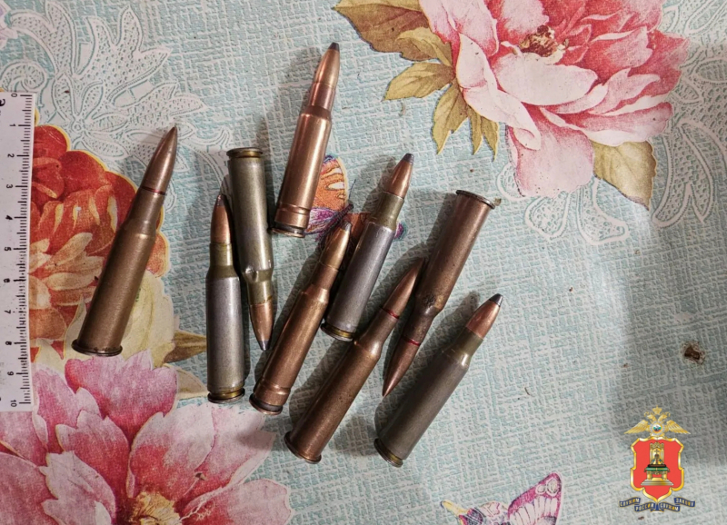 В Тверской области мужчина спрятался в камышах и открыл стрельбу