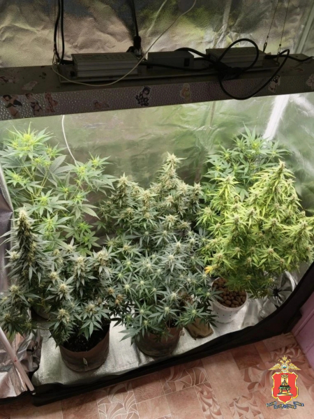 В Тверской области задержали наркоагрария