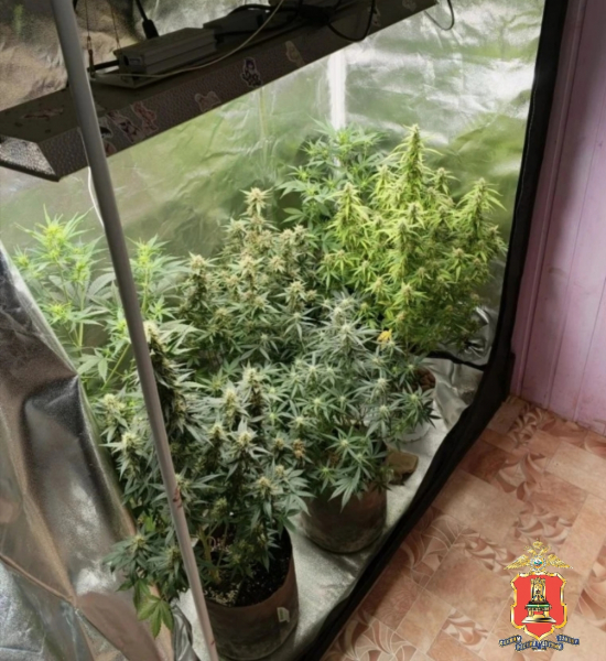 В Тверской области задержали наркоагрария