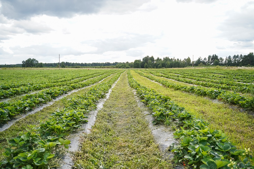 Время ведьм и труда: топ фактов о Первомае