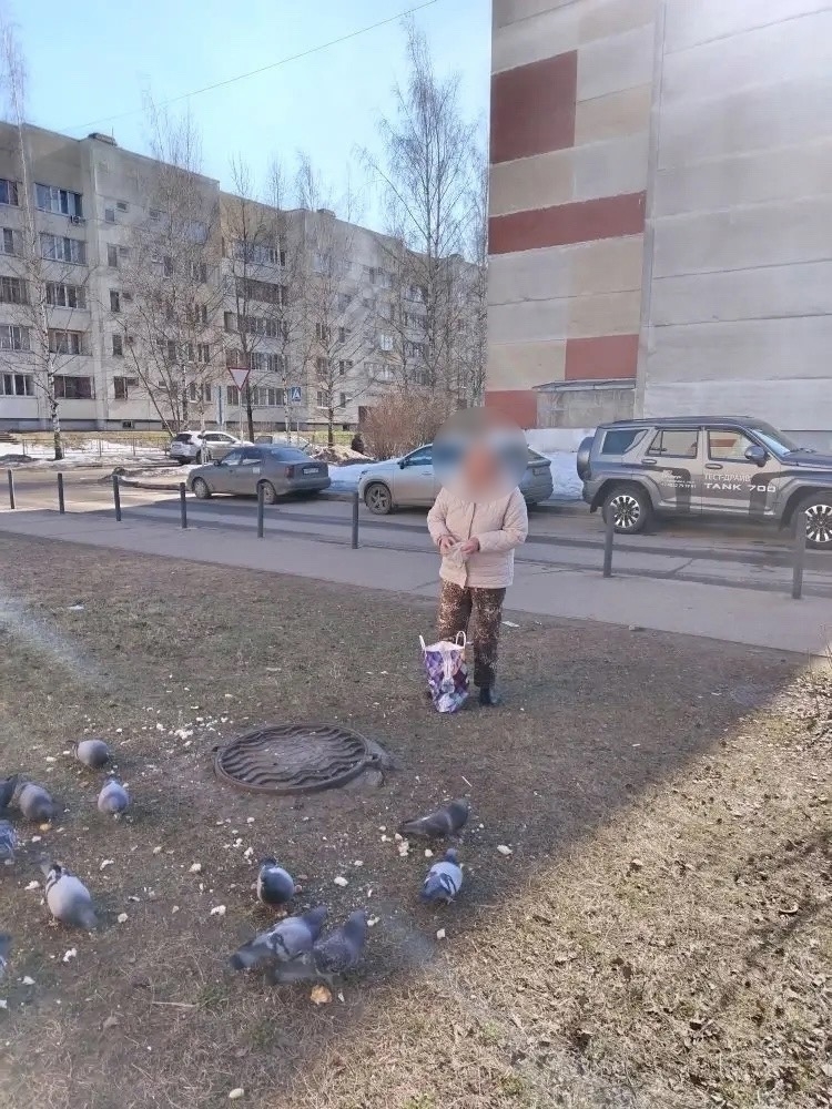 Жители Твери встали на защиту женщины, которая кормит голубей