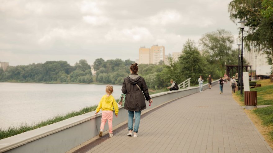 голосованию