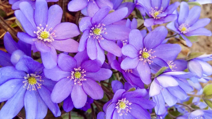 потепления