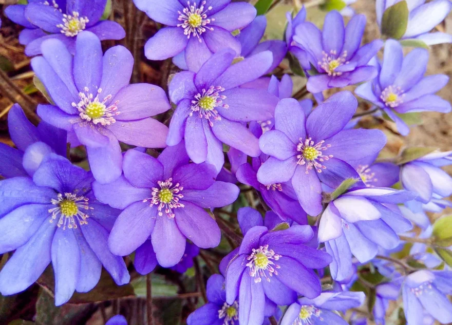 потепления