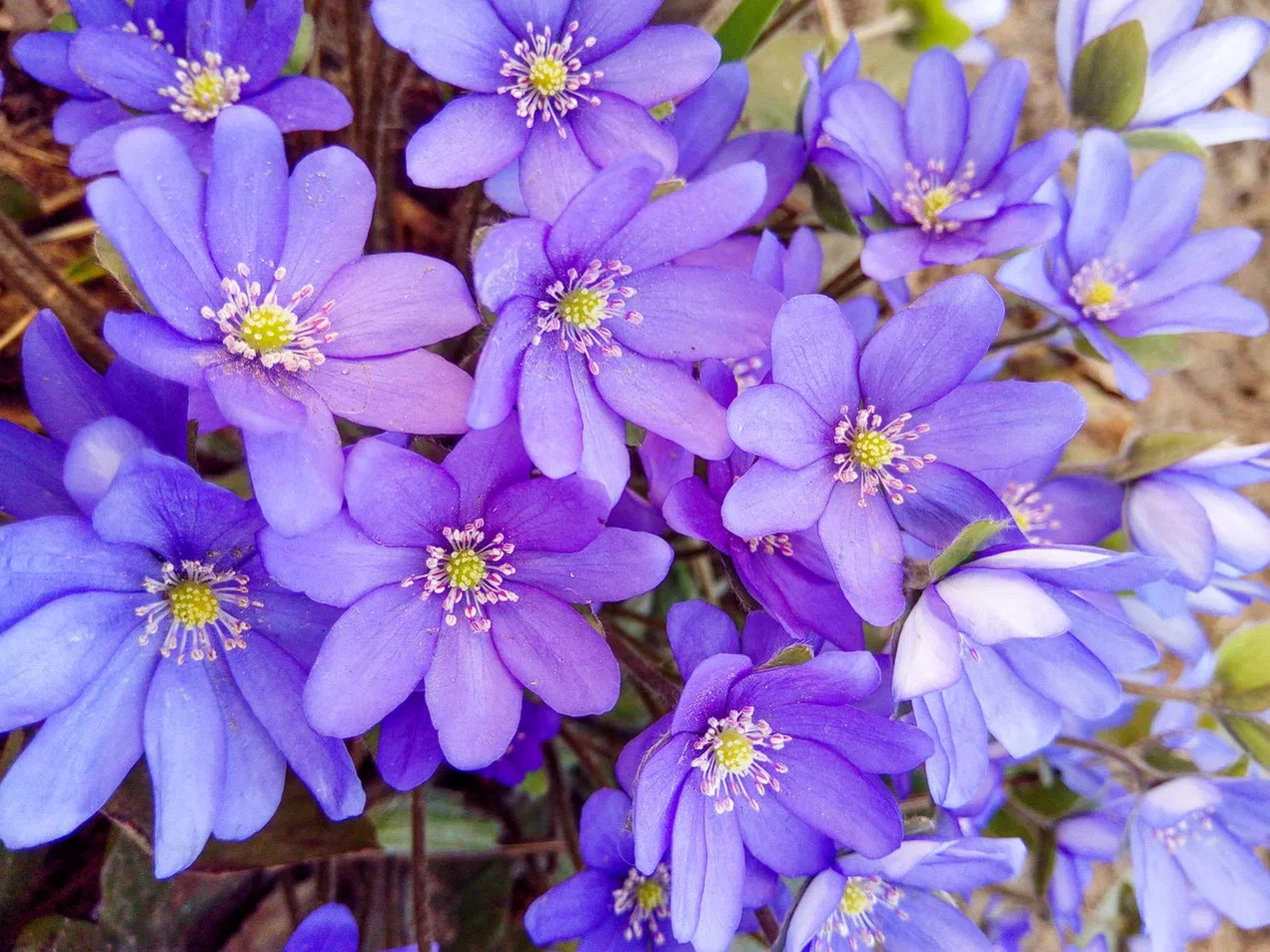 потепления