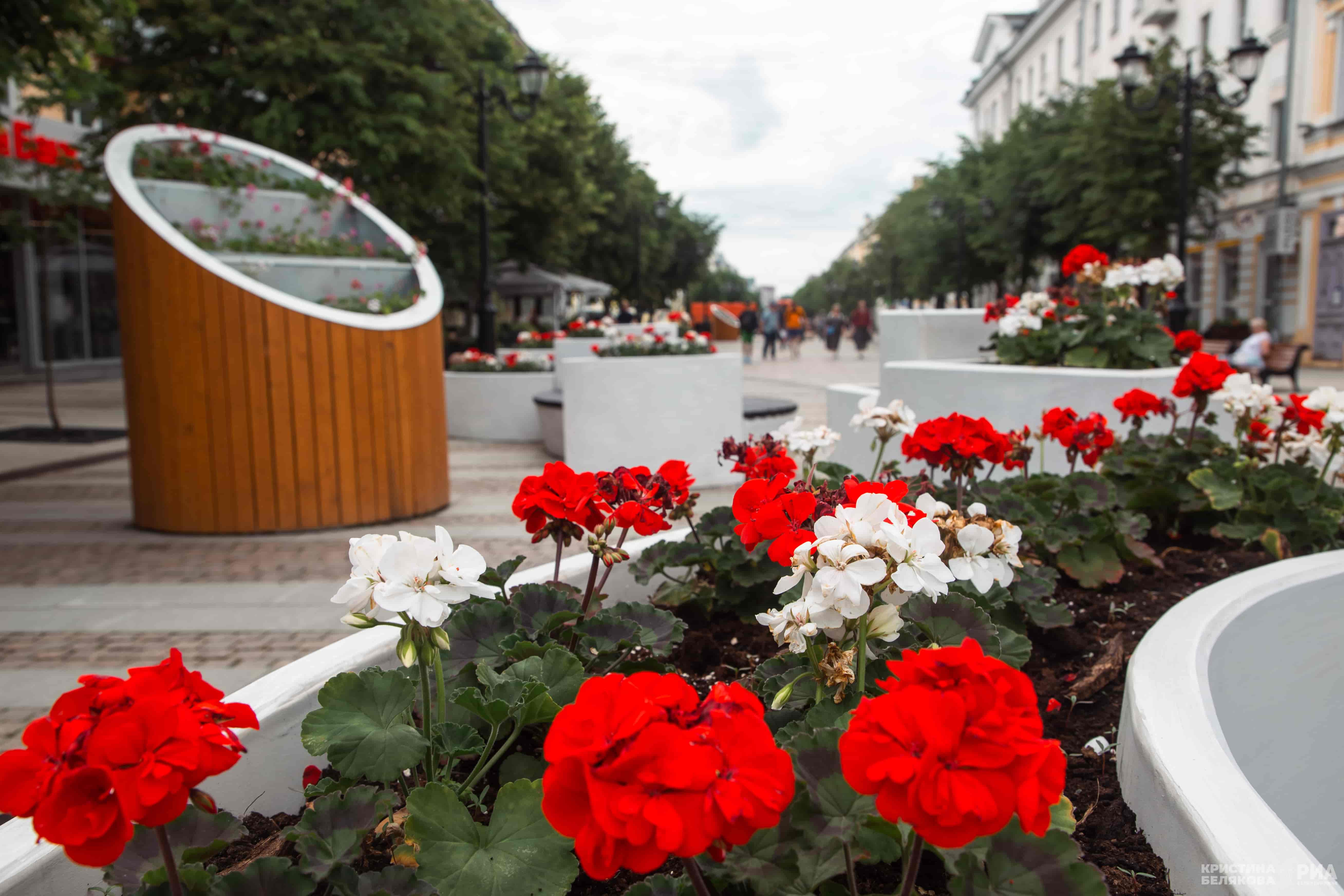 Красота Трёхсвятской: жители города ждут обновления любимой улицы Твери