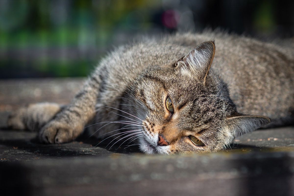 Погода приготовила новое испытание на выходных для жителей Тверской области