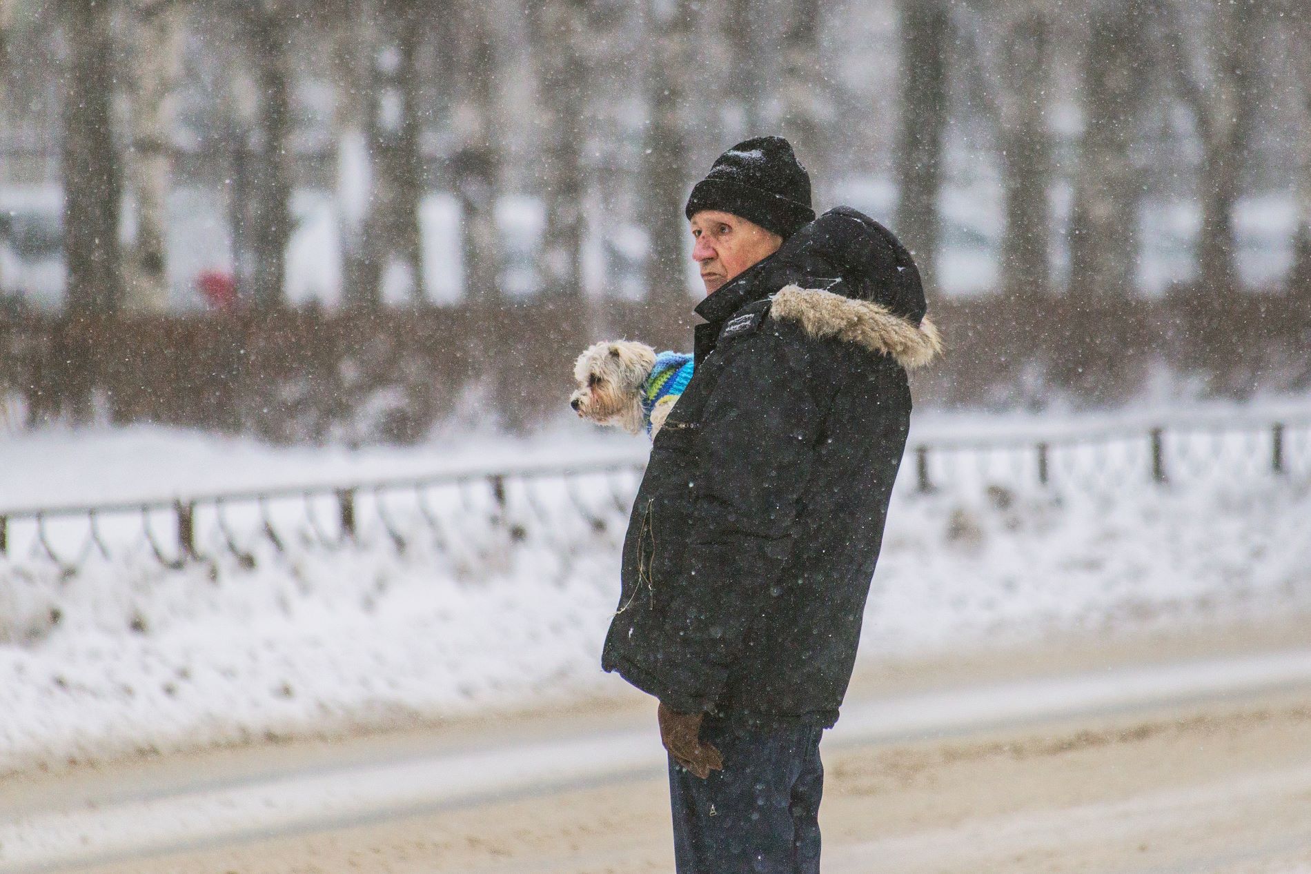 Пенсии, деньги за ДТП и своя земля: вступили в силу законы апреля