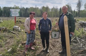 В Торопецком округе посадили молодой лес в память о герое посадили