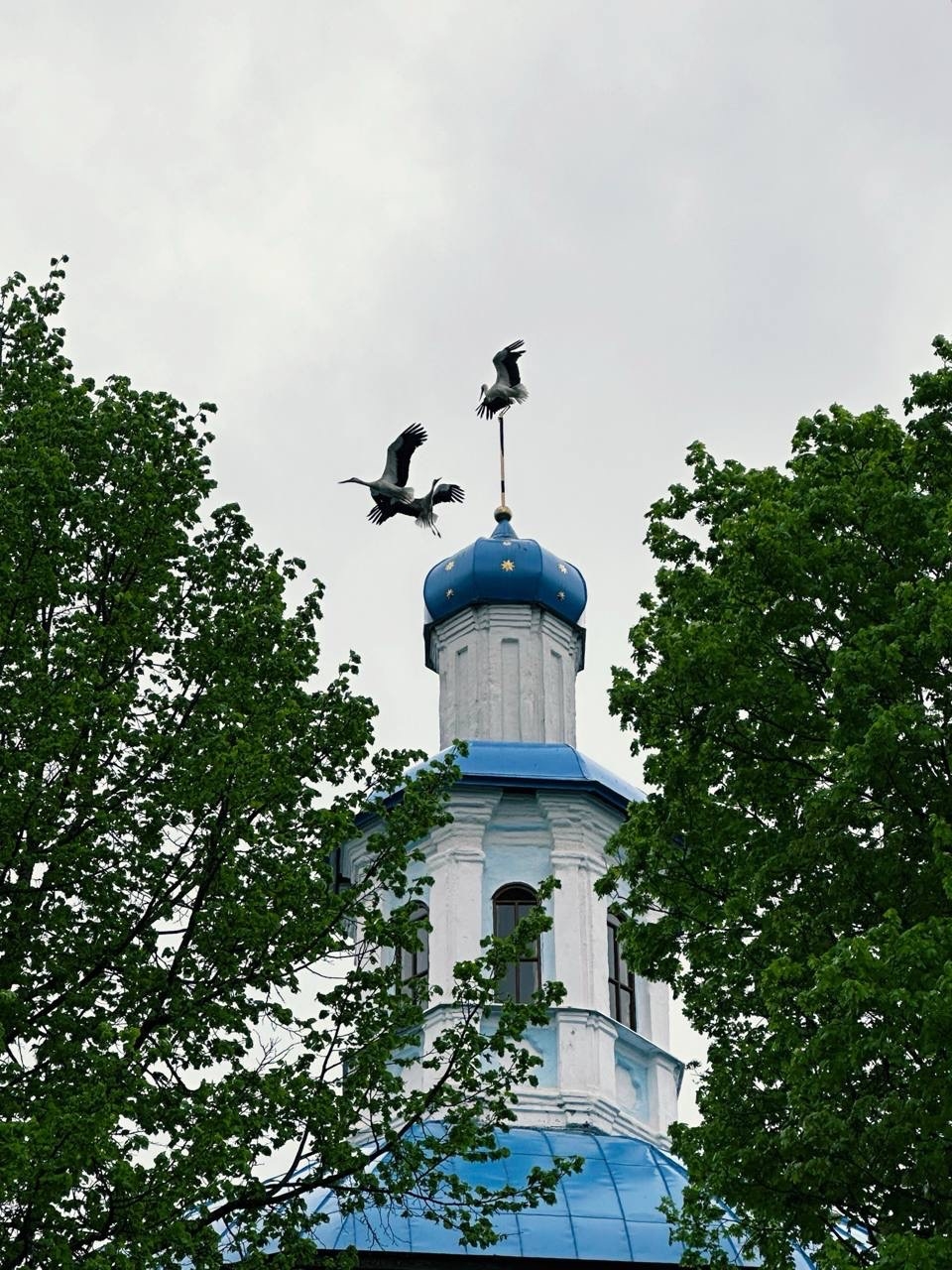 храм