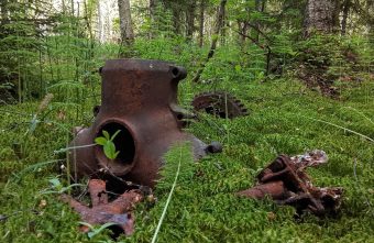 Поисковики нашли следы экипажа на месте гибели самолета в Тверской области самолета