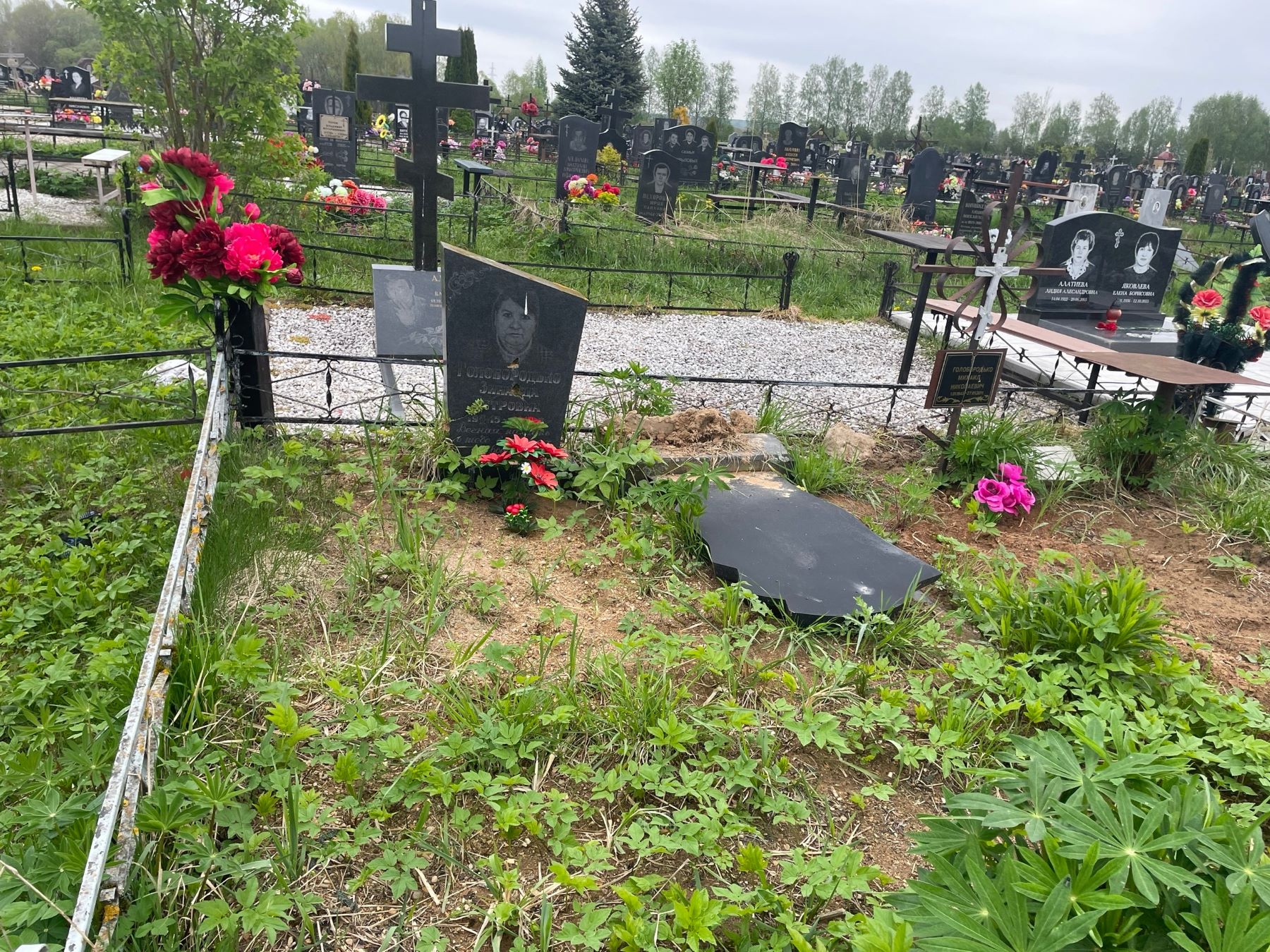Вандалы продолжают громить кладбища в Тверской области