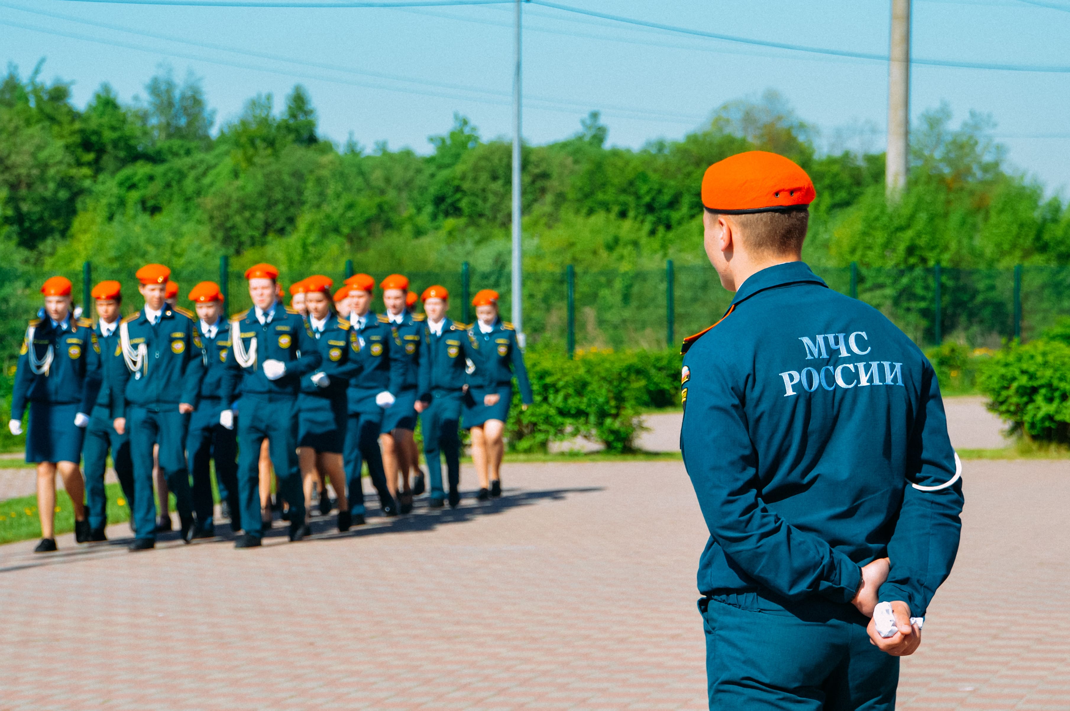 школьников
