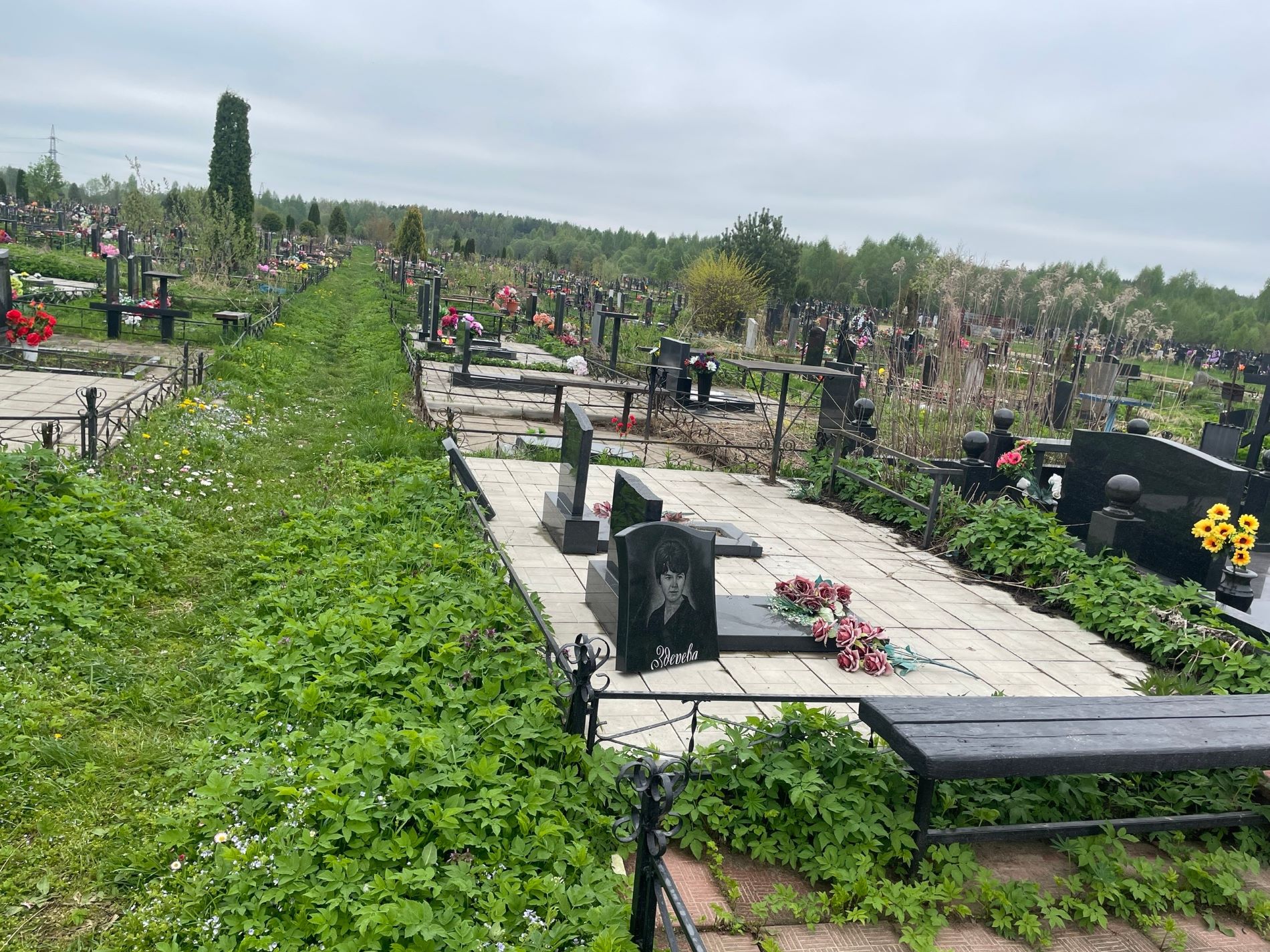 Вандалы продолжают громить кладбища в Тверской области